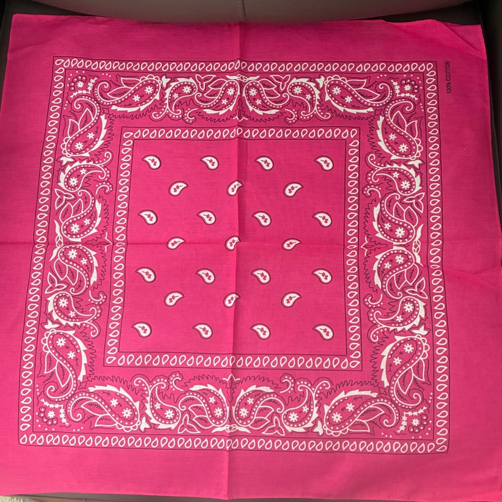 Pink & White Paisley Bandana